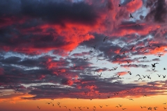 Gorgous sunset | UU-Fotografie – Ulrike Unterbruner