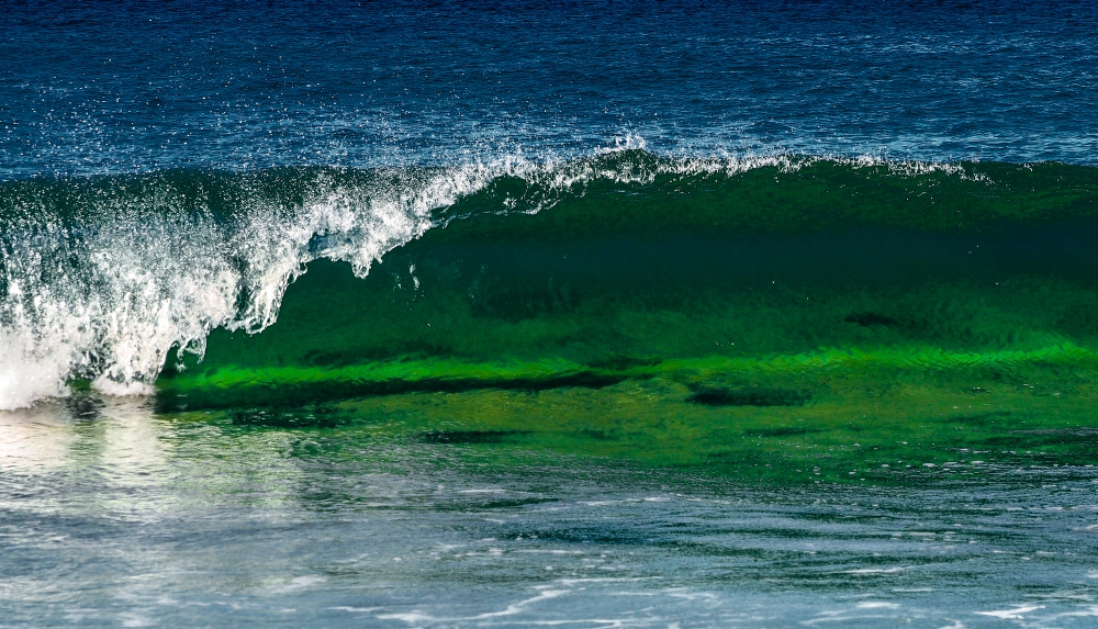 Big Wave | UU-Fotografie – Ulrike Unterbruner
