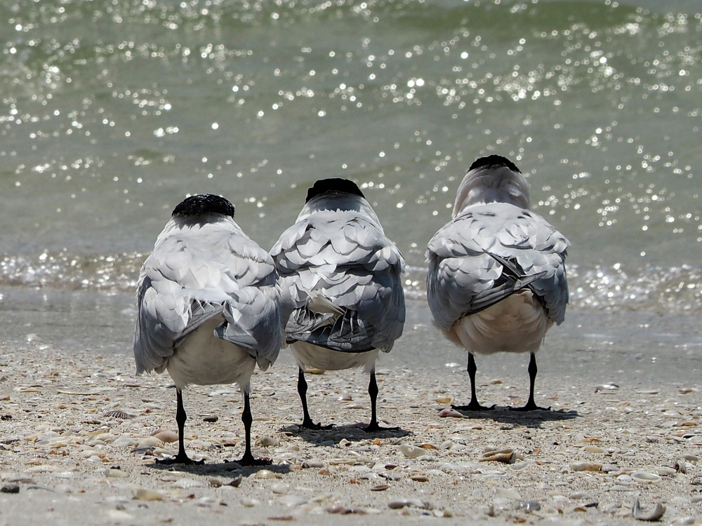 What Is Going On There | UU-Fotografie – Ulrike Unterbruner