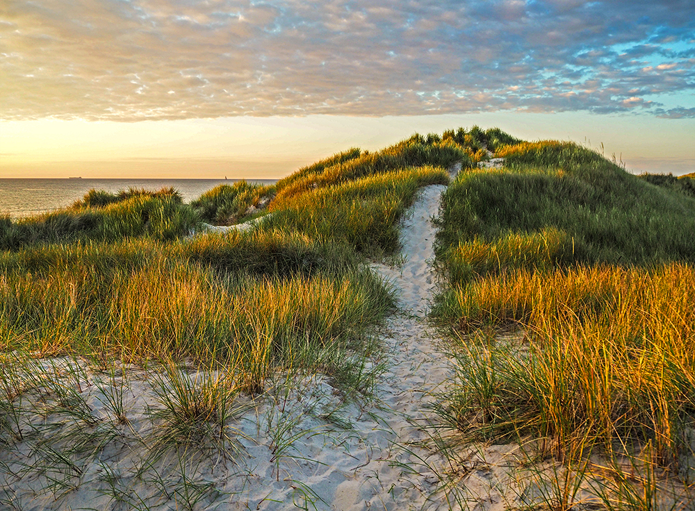 Path through the Dunes | UU-Fotografie – Ulrike Unterbruner