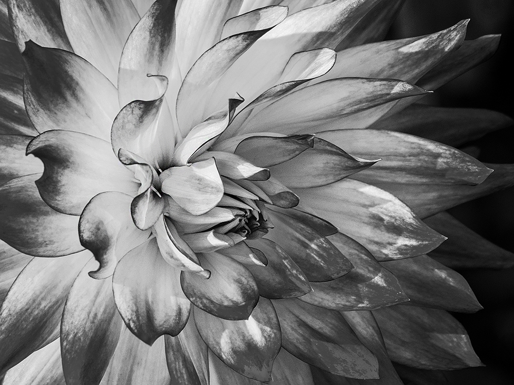 Dynamic Beauty | UU-Fotografie – Ulrike Unterbruner