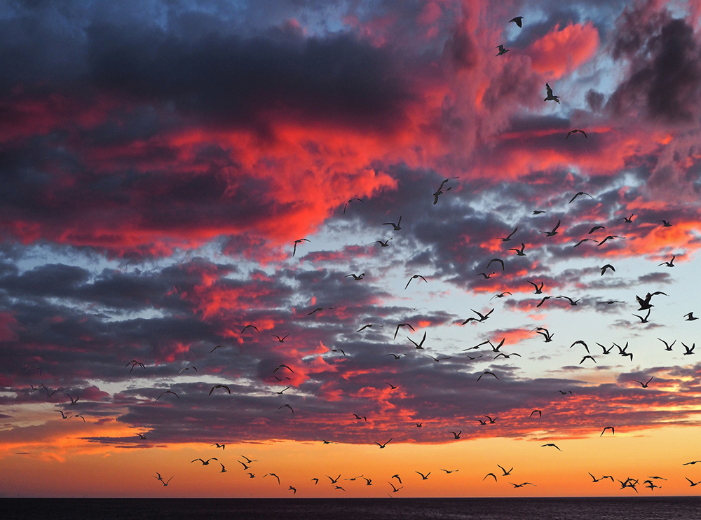 Gorgous sunset | UU-Fotografie – Ulrike Unterbruner