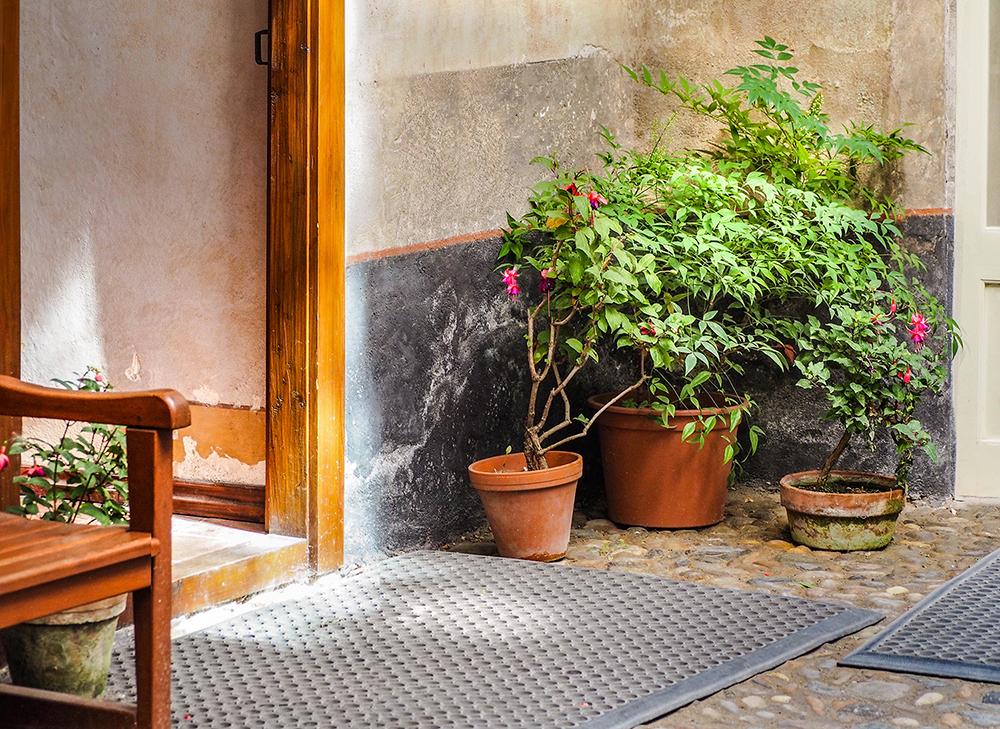 Green Corner | UU-Fotografie – Ulrike Unterbruner